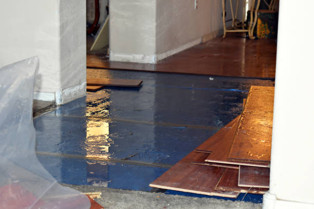 Professional Burst Pipe Cleanup technician working in Holmes, PA